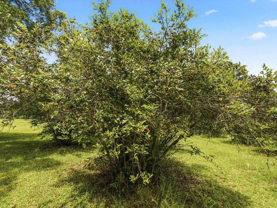 Property Image 57