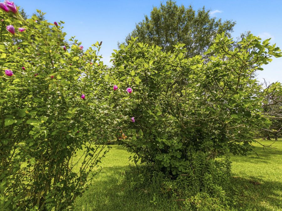 Property Image 60