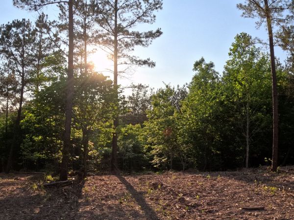 1882 Hillbrook Dr , Linden, TN 37096