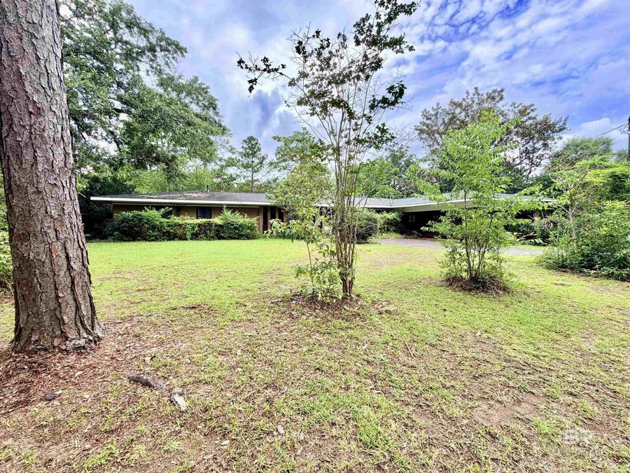 Property Image 89