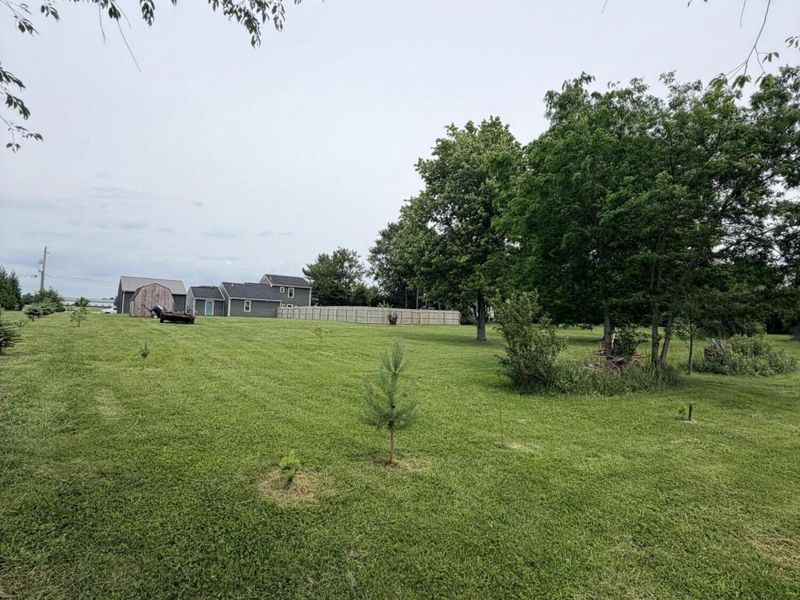 5377 Beard Road, Springfield, OH 45502 Photo 15