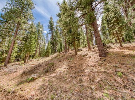 15675 Donnington Lane, Truckee, CA 96160 Photo