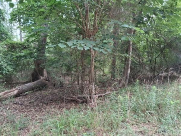 tbd Dogwood Drive, Murchison, TX 75778