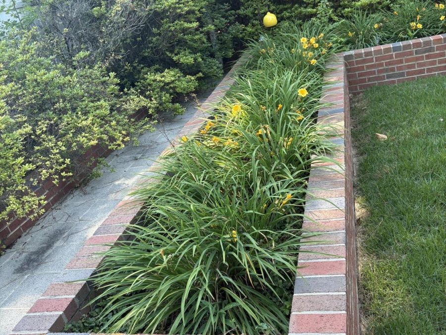 Property Image 92