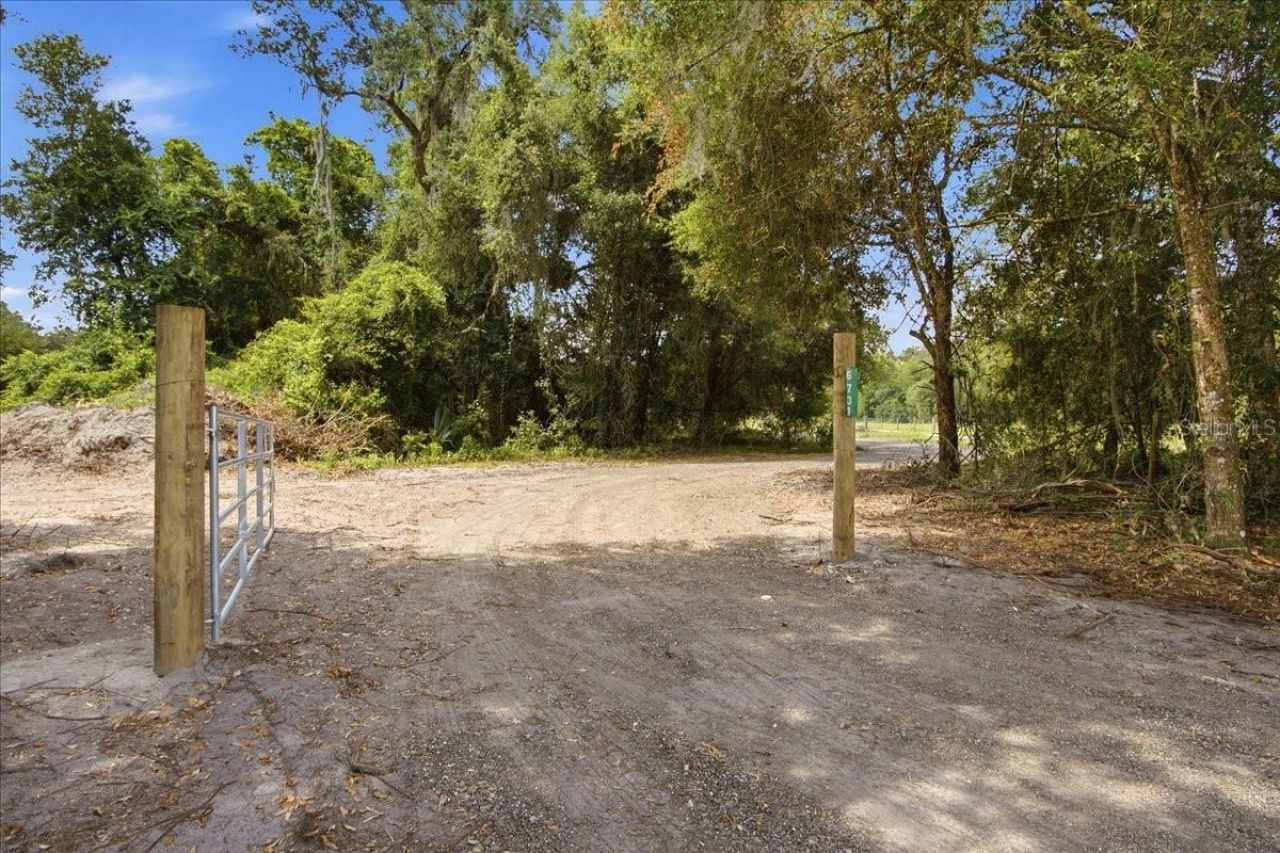 6731 Cr 614, Bushnell, FL 33513 Photo