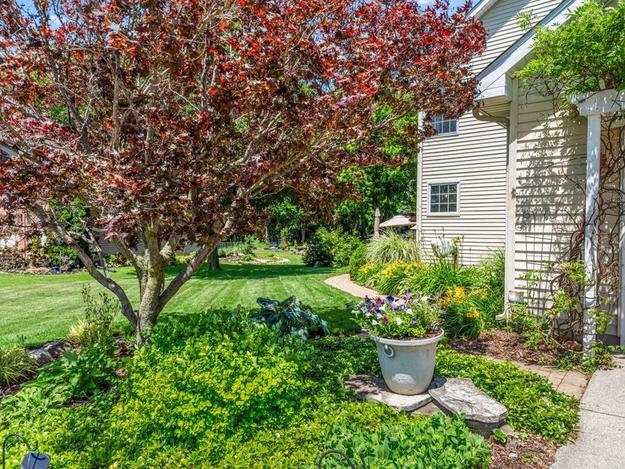 Property Image 34