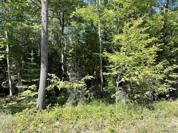 TBD Hemlock Views Trail, Thompson Twp, MI 49854