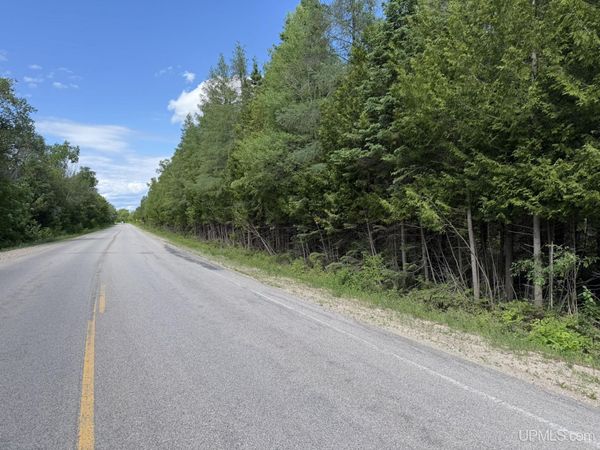 Parcel C H33 Road, Newton Twp, MI 49838