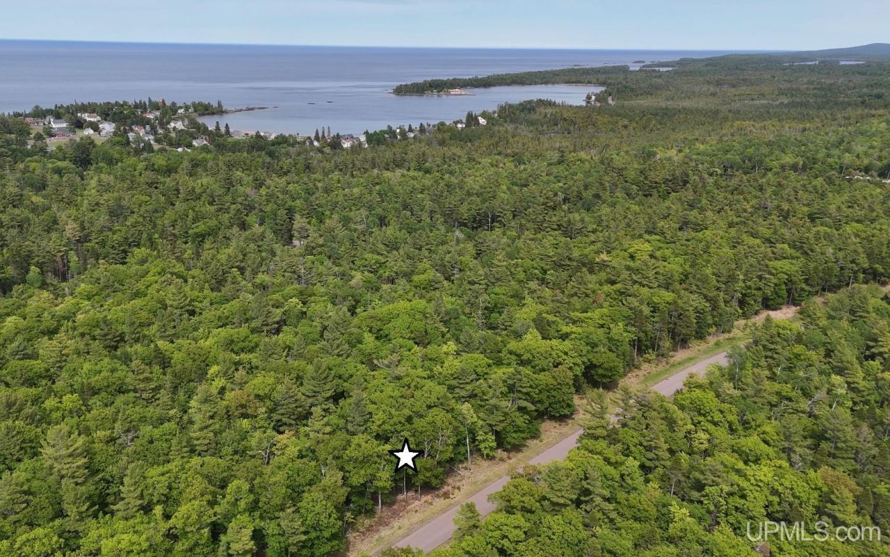 Tbd38 Eliza Creek Drive, Eagle Harbor Twp, MI 49950 Main Photo