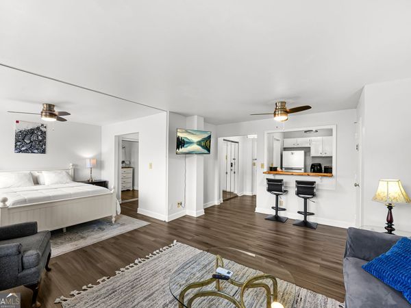 215 Piedmont Avenue NE, Unit APT 305, Atlanta, GA 30308
