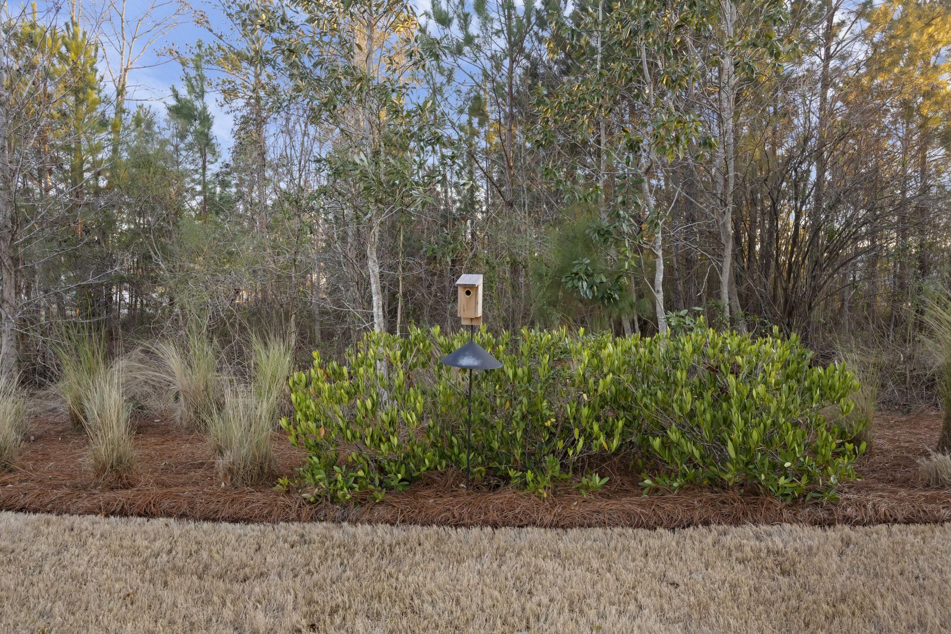 1014 Shore Lap Street Photo 47