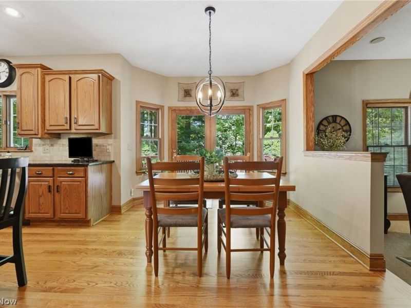 1221 Ty Drive, Medina, OH 44256 Photo 15