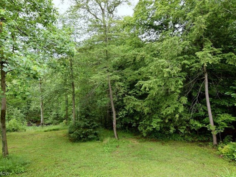 13540 Ledgebrook Lane, Chagrin Falls, OH 44022 Photo 32