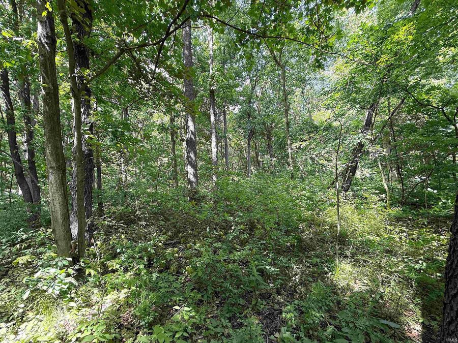 Property Image 30