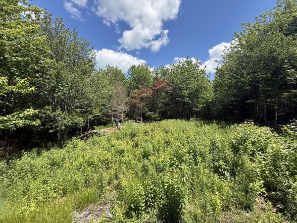Lot 27 Lively Brook Acres , Whiting, ME 04691