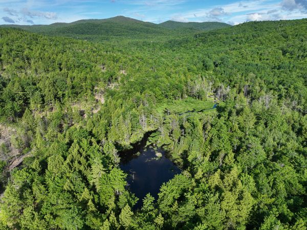 Map 10 Lot 1 Dow Brook Road , Peru, ME 04290