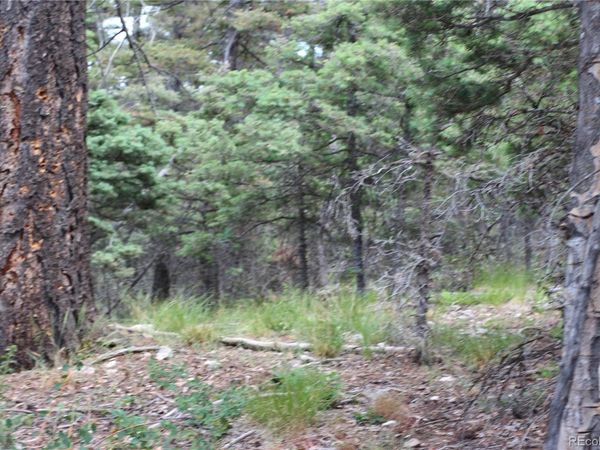 LOT 6077 Vreeland Road , San Luis, CO 81152