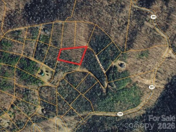 000 Hawks Nest Drive , Burnsville, NC 28714