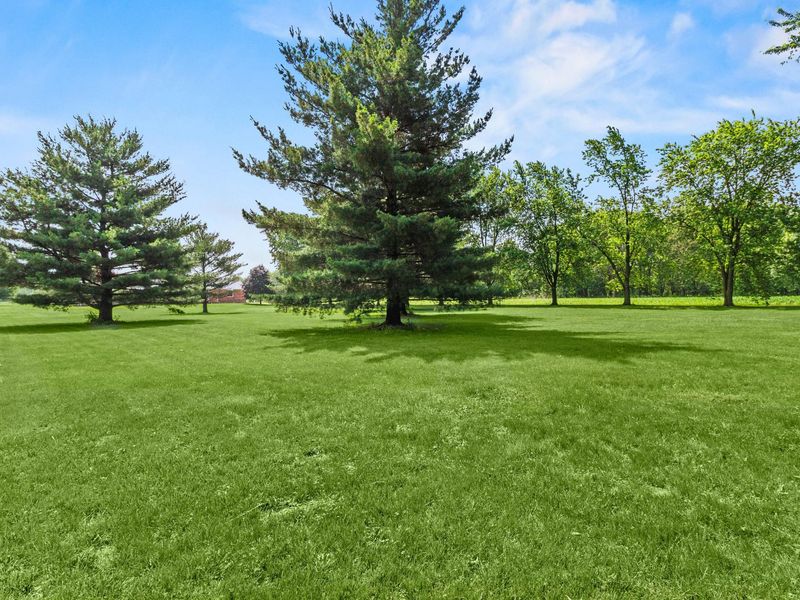5773 Short Road, New Carlisle, OH 45344 Photo 4