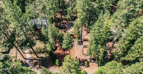 16875 Alpine Dr, Pioneer, CA 95666 Photo