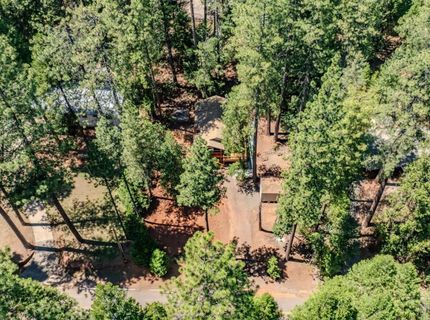 16875 Alpine Dr, Pioneer, CA 95666 Photo
