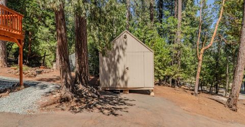 16875 Alpine Dr, Pioneer, CA 95666 Photo