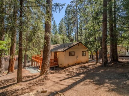 16875 Alpine Dr, Pioneer, CA 95666 Photo