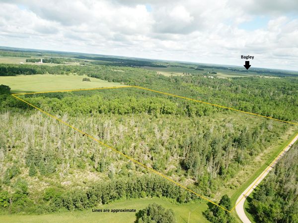 TBD1 Mud Lake Road , Bagley, MN 56621