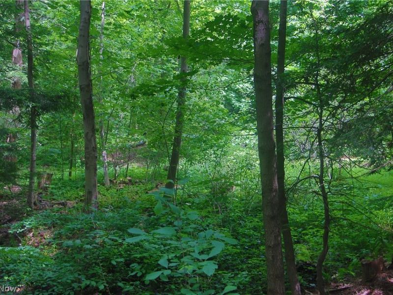 7250 Brakeman Road, Leroy, OH 44077 Photo 10