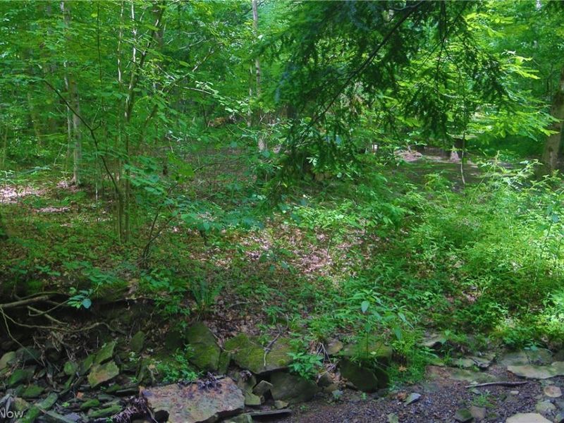 7250 Brakeman Road, Leroy, OH 44077 Photo 12