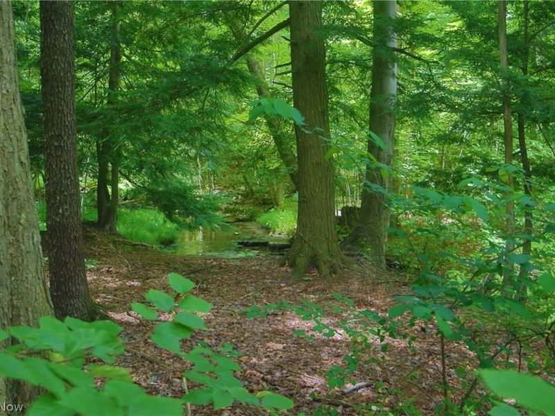 7250 Brakeman Road, Leroy, OH 44077 Photo 13
