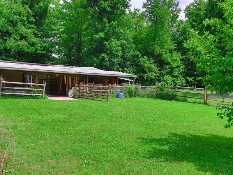 7250 Brakeman Road, Leroy, OH 44077 Photo 16