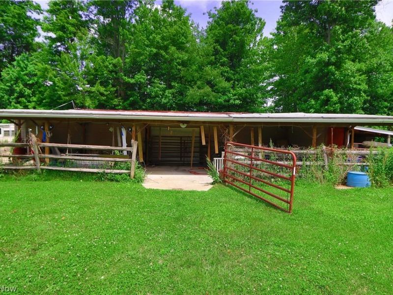 7250 Brakeman Road, Leroy, OH 44077 Photo 17