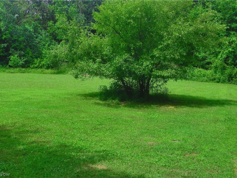 7250 Brakeman Road, Leroy, OH 44077 Photo 6