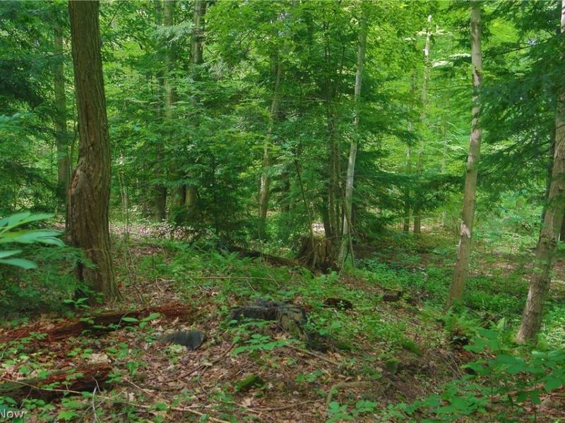 7250 Brakeman Road, Leroy, OH 44077 Photo 9