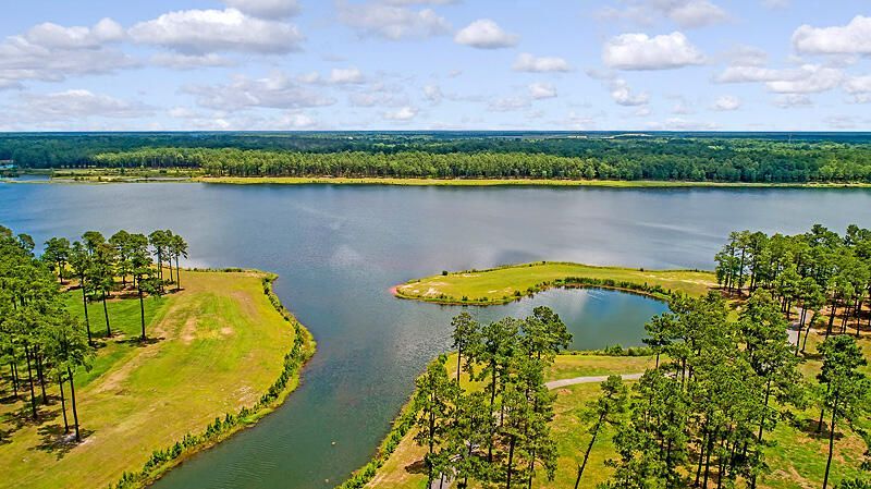 251 Tupelo Lake Drive Photo 91