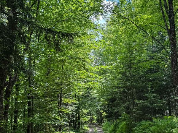 273 Guyette Road, Lowell, VT 05847