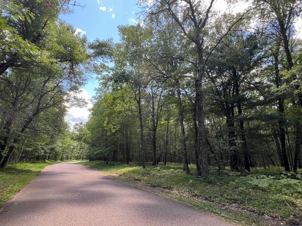 LOT 14 Loon Lake Road , Danbury, WI 54830