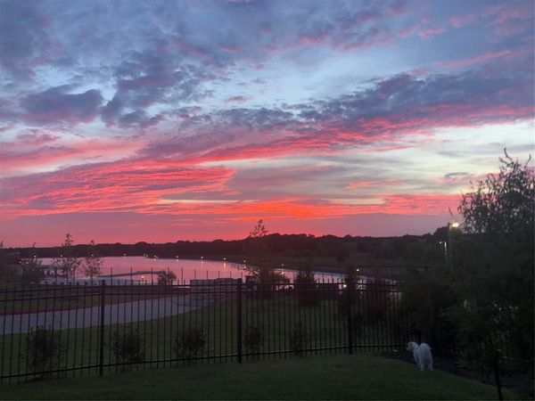 3900 Pepper Grass Lane, Prosper, TX 75078