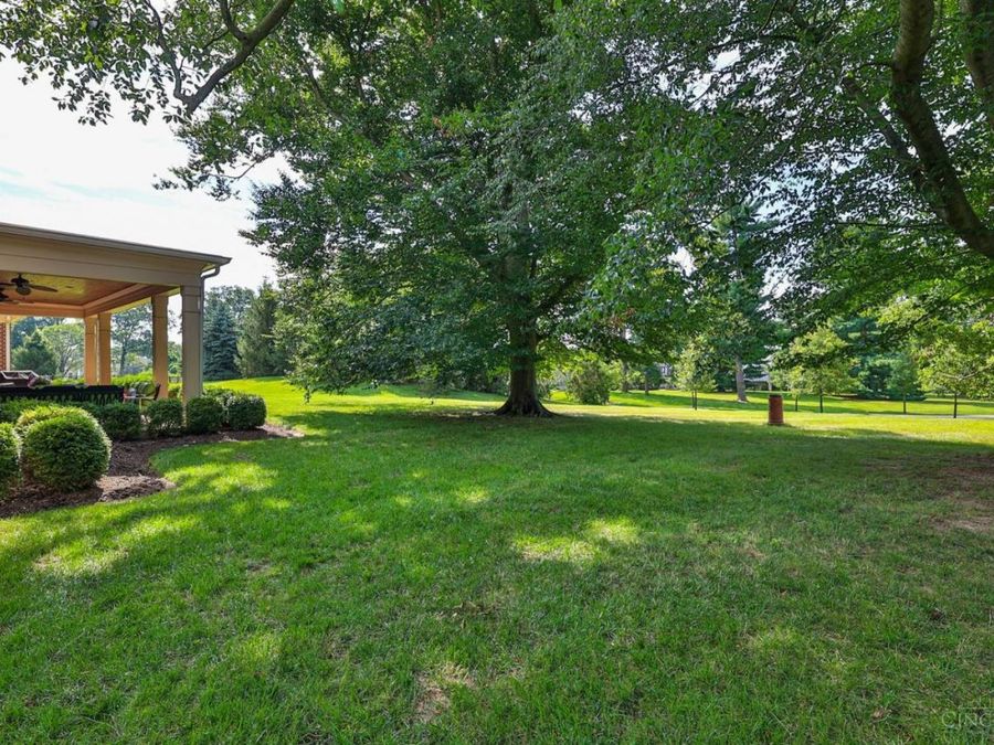 Property Image 71