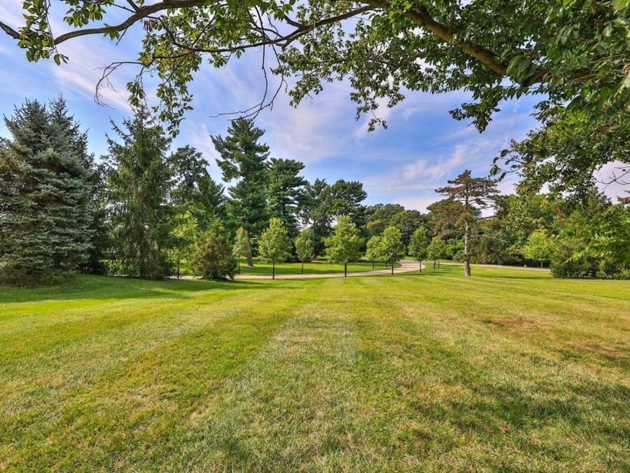 Property Image 75