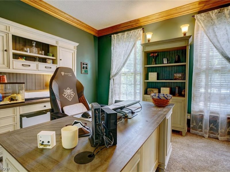 1238 Ty Drive, Medina, OH 44256 Photo 21
