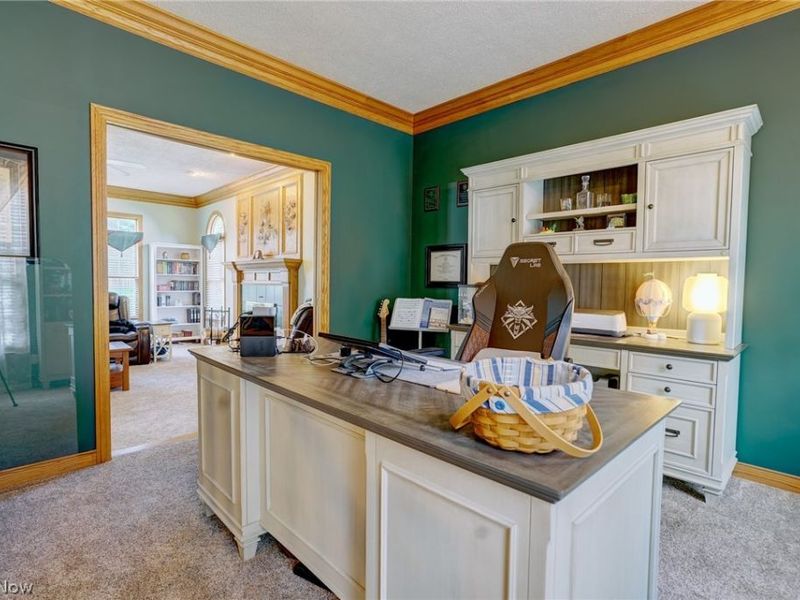 1238 Ty Drive, Medina, OH 44256 Photo 22