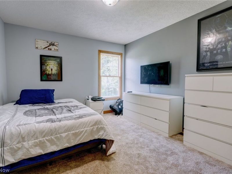 1238 Ty Drive, Medina, OH 44256 Photo 37