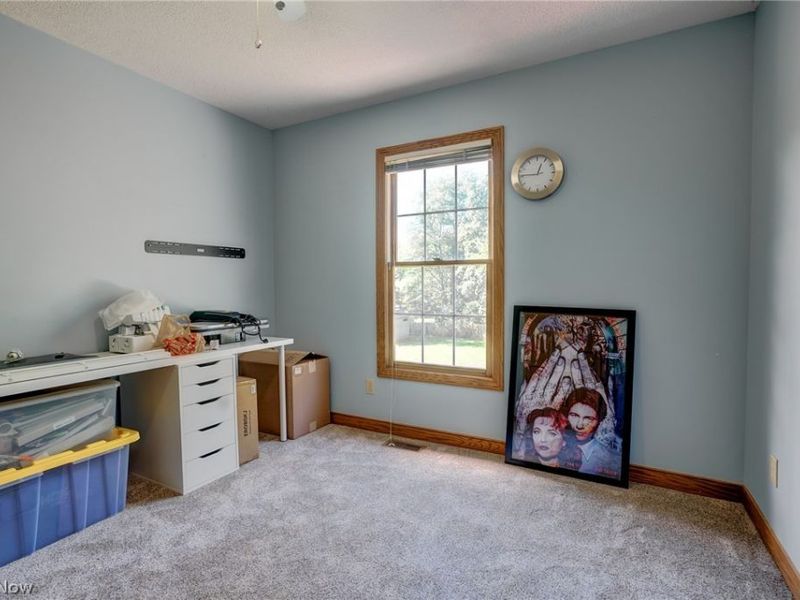 1238 Ty Drive, Medina, OH 44256 Photo 42