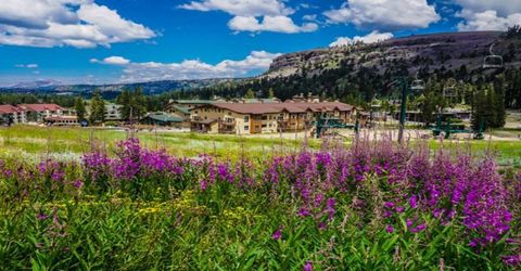 1050 Kirkwood Meadows Drive, Unit 6IIIA, Kirkwood, CA 95646 Photo