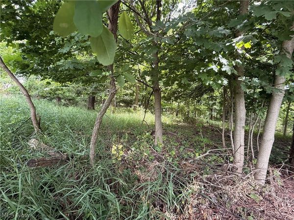 685 Sanchez Trail , Malvern, OH 44644