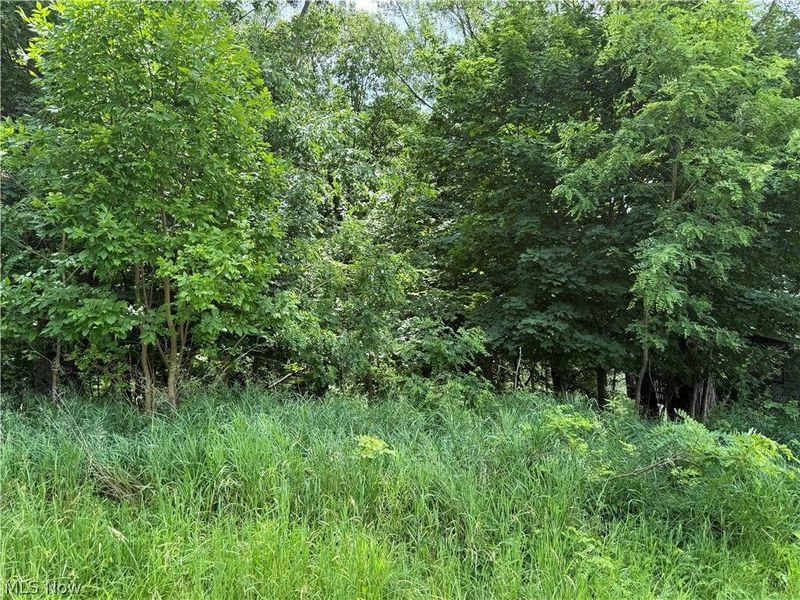 685 Sanchez Trail, Malvern, OH 44644 Photo 4