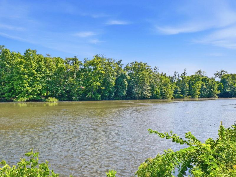3236 Yellow Finch Way , Columbus, OH 43231 Photo 64