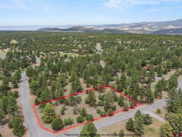 TBD Lot 308 Bear Cub Drive, Ridgway, CO 81432